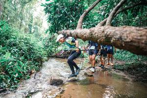 BIB: 
                            <button type="button" onclick="openModal(25373086)" class="btn btn-primary btn-sm float-right btn-popup" data-toggle="modal" data-target=".modal-high-quality">
                        <i class="fas fa-shopping-cart"></i> Add to Cart
                    </button>
                                            <button type="button" onclick="isThisMe(25373086, true)" class="btn btn-success btn-sm float-right btn-popup btn-isme hidden" data-toggle="tooltip" data-placement="bottom" title="นี่คือรูปของคุณใช่ไหม คลิกที่นี่เพื่อเอาเข้าอัลบั้ม">
                        <i class="fas fa-plus"></i> Add to album
                    </button>
                    <button type="button" onclick="isThisMe(25373086, false)" class="btn btn-warning btn-sm float-right btn-popup btn-isnotme hidden">
                        <i class="fas fa-ban"></i> Remove from album
                    </button>